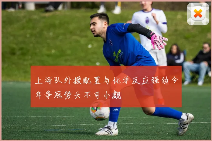 上海队外援配置与化学反应强劲今年争冠势头不可小觑