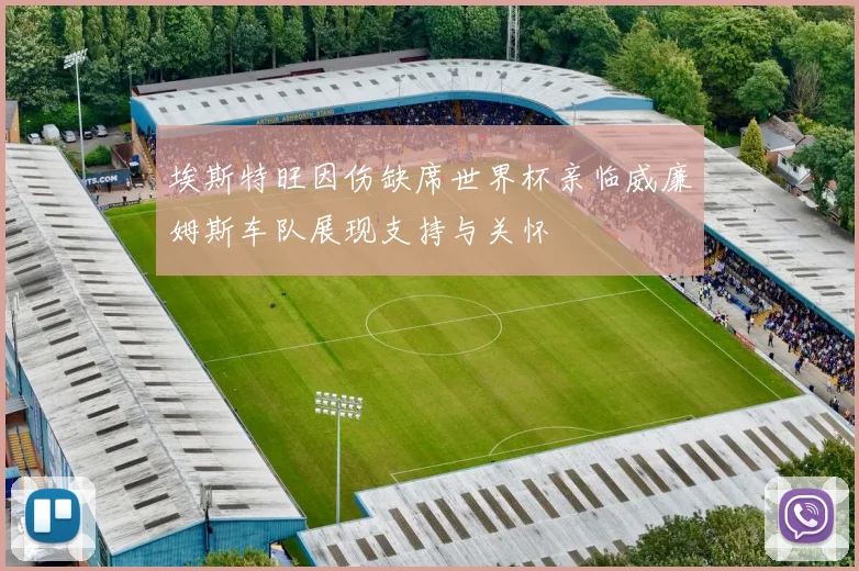埃斯特旺因伤缺席世界杯亲临威廉姆斯车队展现支持与关怀