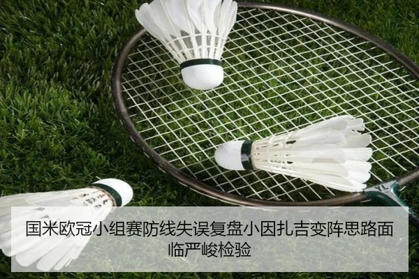 国米欧冠小组赛防线失误复盘小因扎吉变阵思路面临严峻检验 - leyu.com
